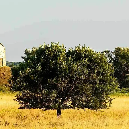 موبايل هومز بيروس فندق
